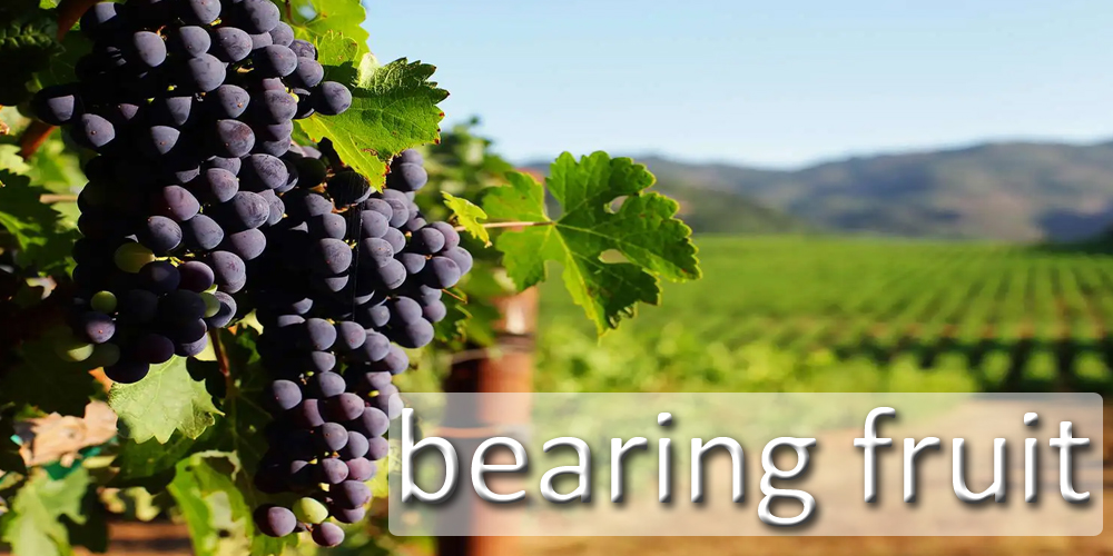 Bearing Fruit