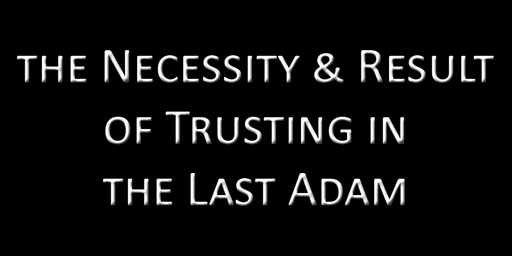 Necessity & Result of Trusting in the Last Adam