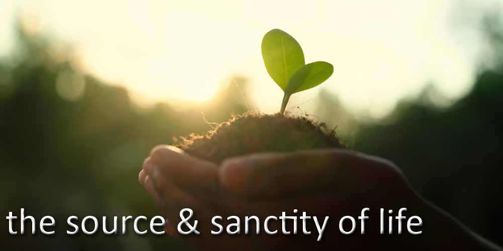 The Source & Sanctity of Life