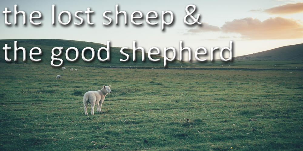 Lost Sheep & the Good Shepherd