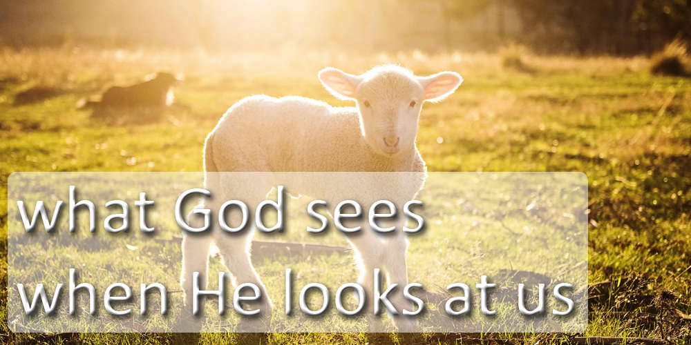 What God Sees